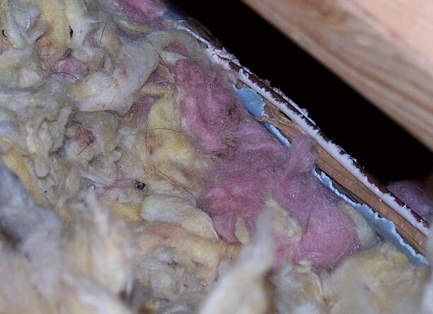 Rodent chewed electrical wiring in Groton Connecticut