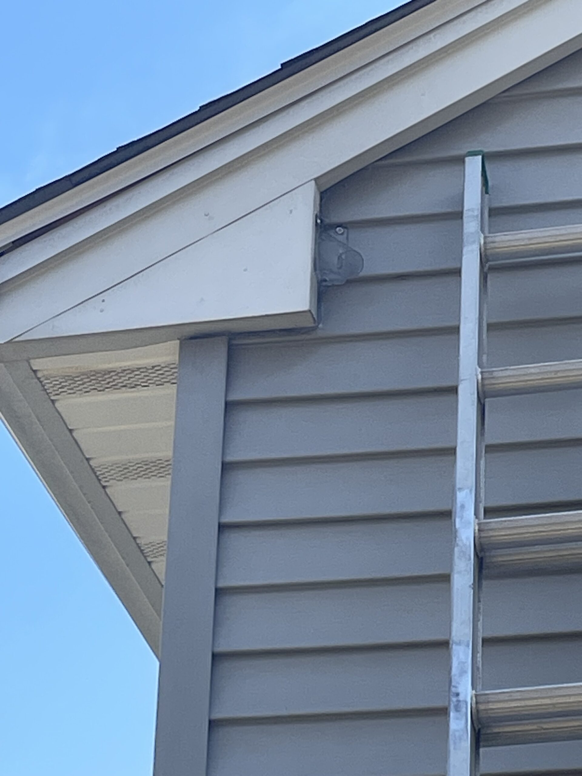 Professional bat exclusion cone installed on a soffit