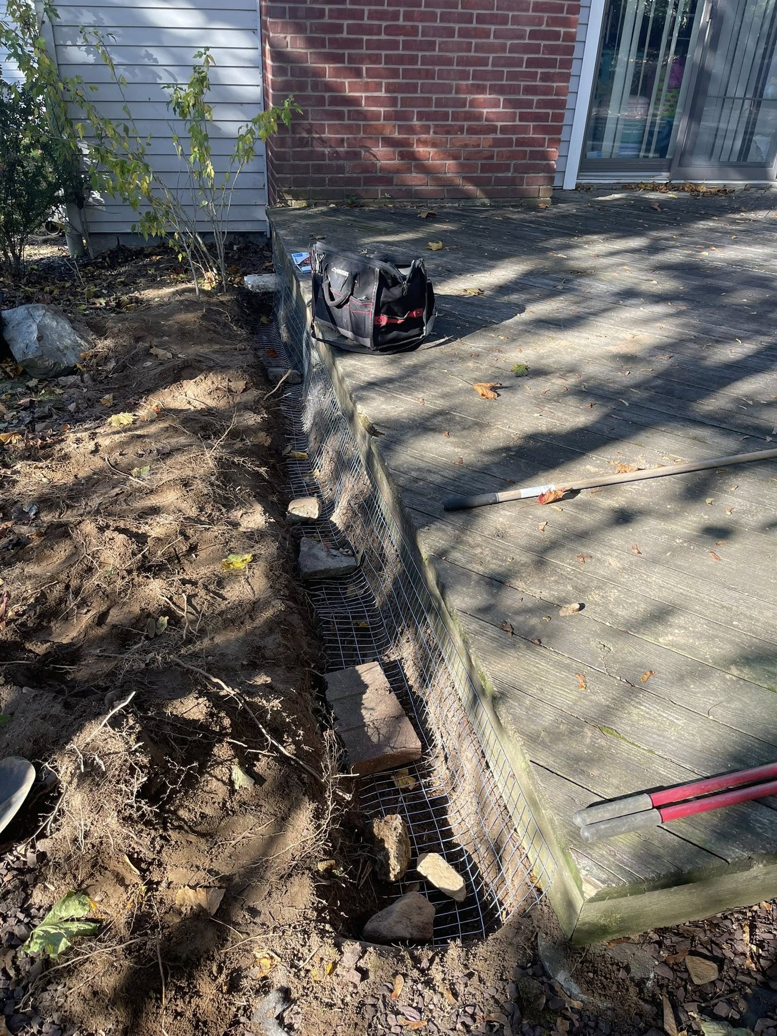Wildlife exclusion and rodent proofing in Ledyard Connecticut