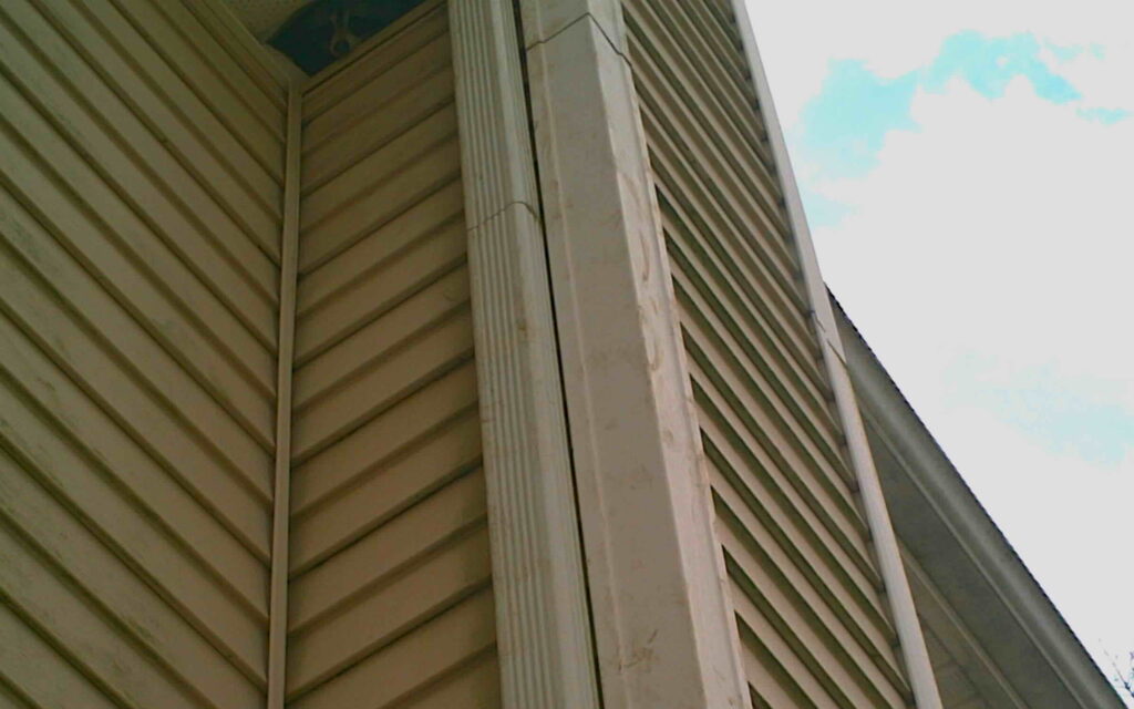 Raccoon peeking out of a soffit entry point with visible climbing tracks along the corner of a Connecticut home