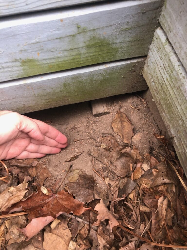 Hand showing the size of a skunk den entry point underneath a deck at a Connecticut home