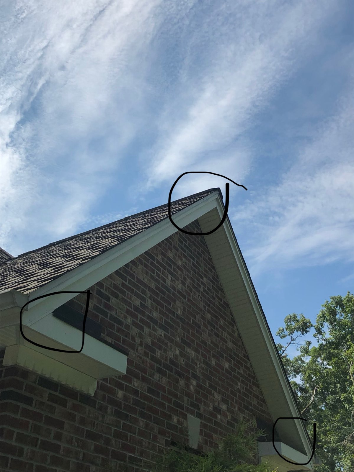 Wildlife exclusion and entry point repair in Milford Connecticut for skunks rodents raccoons bats squirrels and shoreline homes