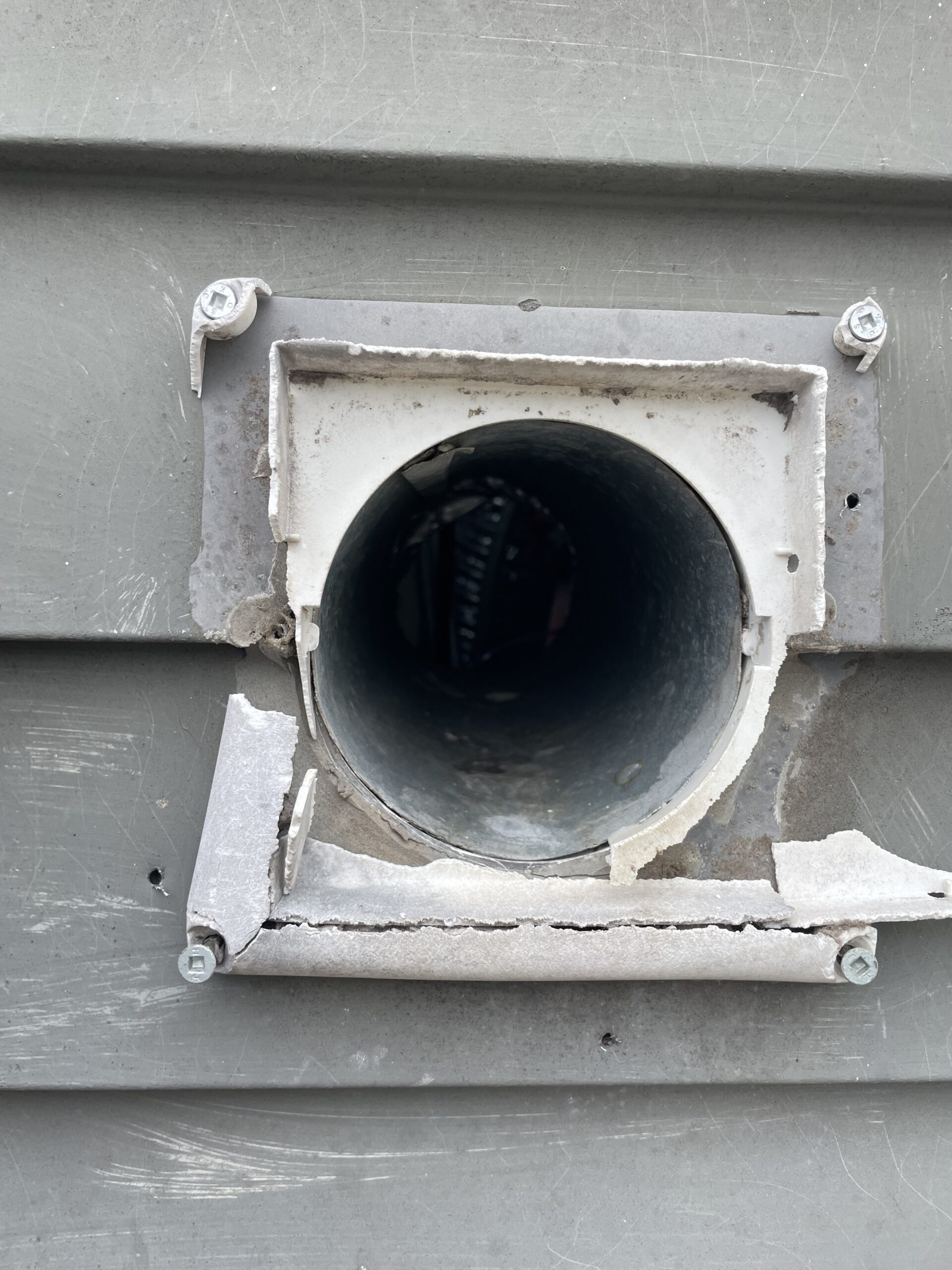 Bird nesting inside a vent on a Shelton Connecticut home