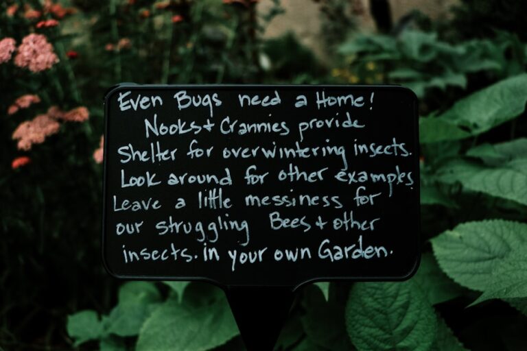 Effective Rodent Control Strategies