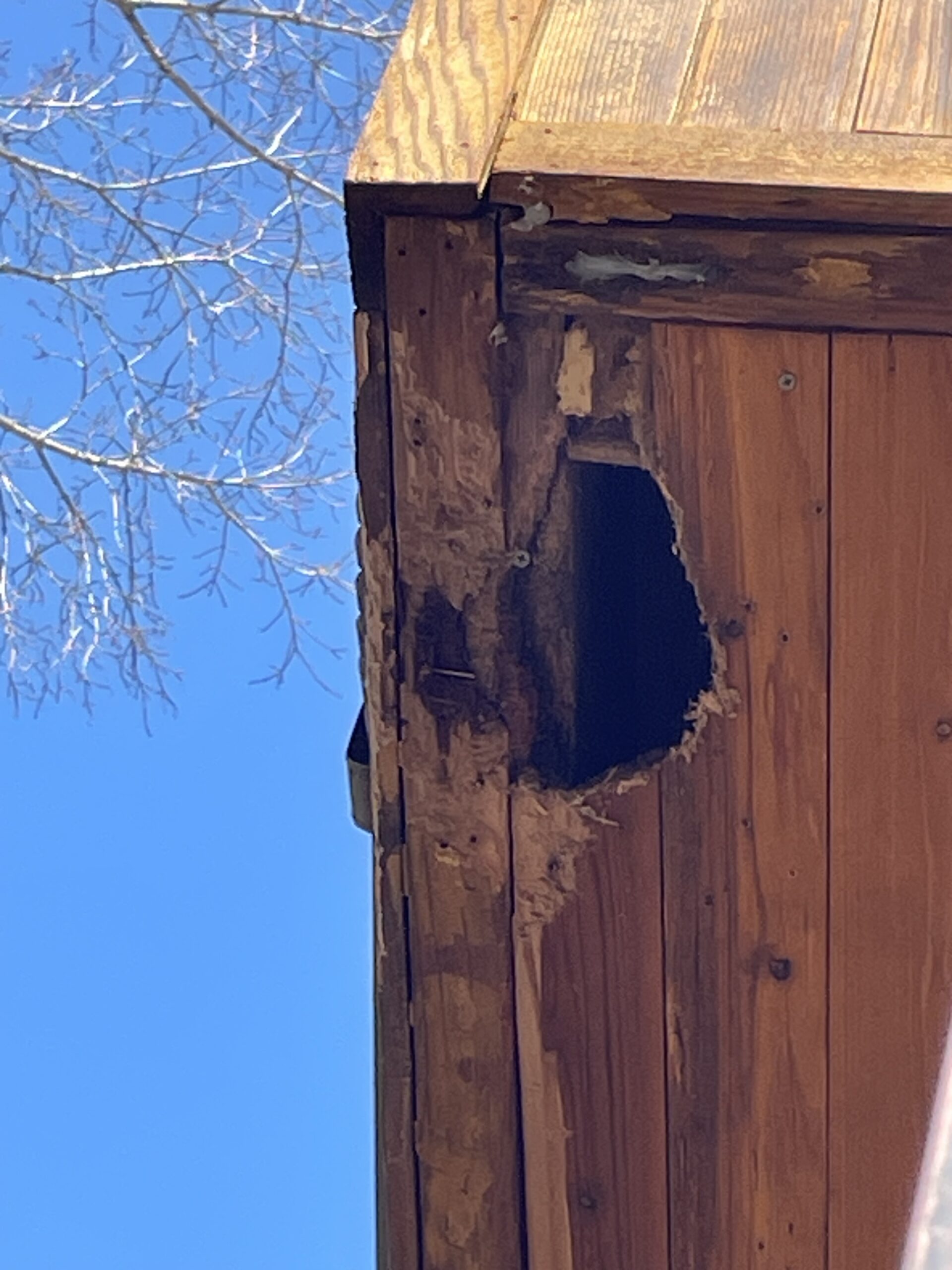 Wildlife damage and rodent control in East Haddam Connecticut