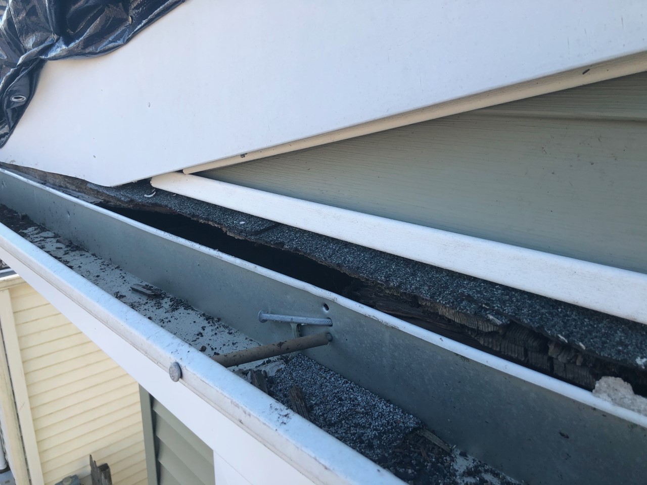 Wildlife damage to gutter and roofline before repair
