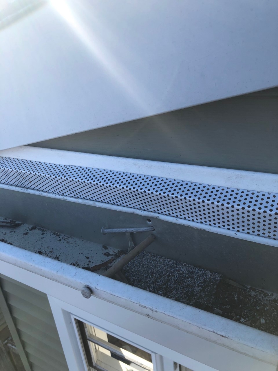 Wildlife exclusion and gutter repair after raccoon damage